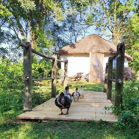 Les Bourrines Du Marais, Le Bourrineau *