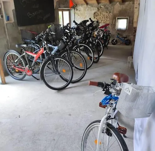 Les Bourrines Du Marais, Le Bourrineau Sallertaine