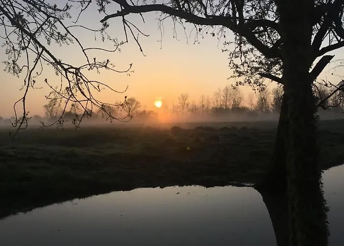 Les Bourrines Du Marais, Le Bourrineau