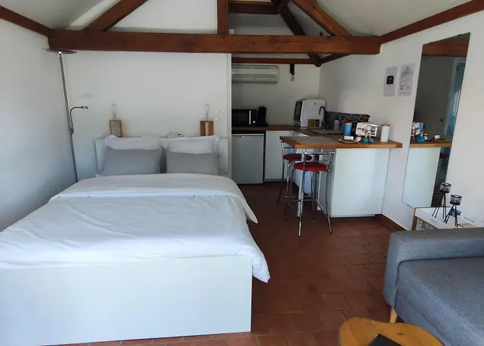 Les Bourrines Du Marais, Le Bourrineau *