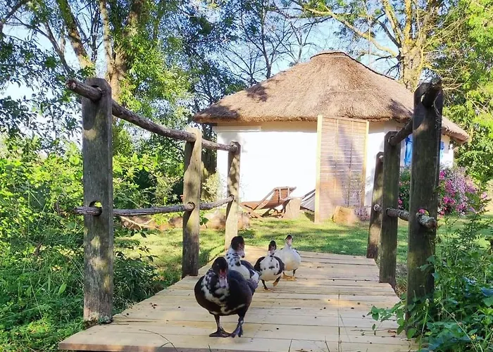 Les Bourrines Du Marais, Le Bourrineau *